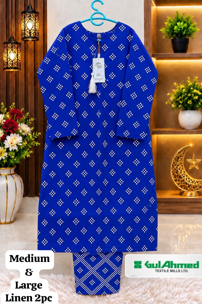 Royal Blue Printed Linen 2 Piece Suit for Women – Medium & Large